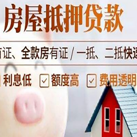 尖山贷款助贷公司新渝启服靠谱公司